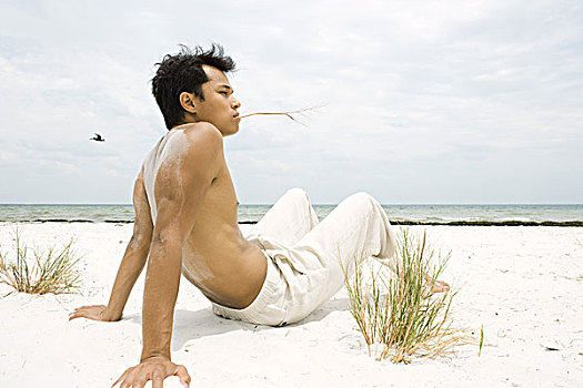 袒胸,男人,坐,海滩,拿着,草叶,嘴,全身