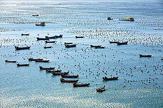 海湾,船,阳光,海岸,停泊,航行,港湾