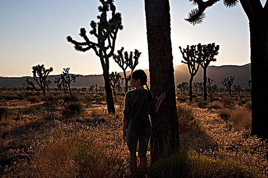 女人,站立,靠近,树,约书亚树国家公园,加利福尼亚,美国