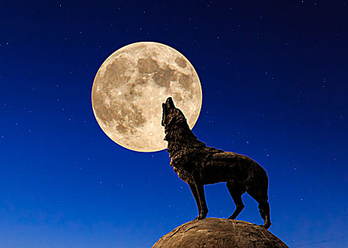 月亮狼