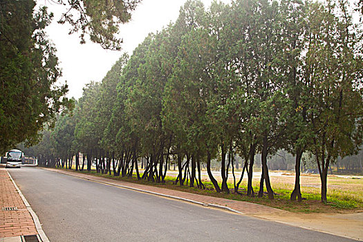 柳江,地质,博物馆,公园,秦皇岛,科普,教育,实习,基地,自然,建筑