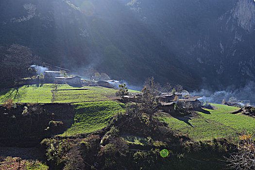 雾里村