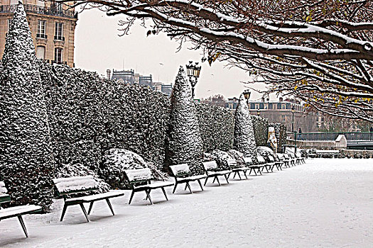法国,巴黎,冬天