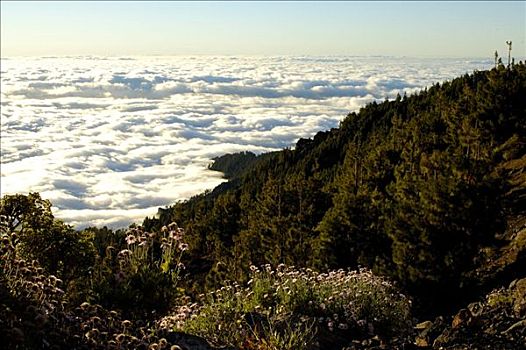 泰德国家公园,风景,云海,特内里费岛,加纳利群岛,西班牙