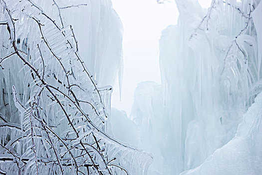 冰盖,冬天,风景