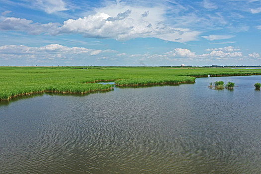 扎龙湿地保护区