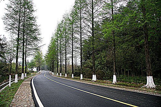 安徽黟县三棵树公路