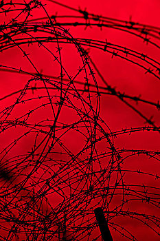 刺铁丝网,红色