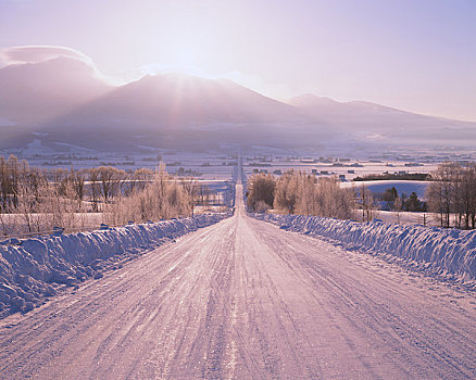 发光,朝日,雪,道路