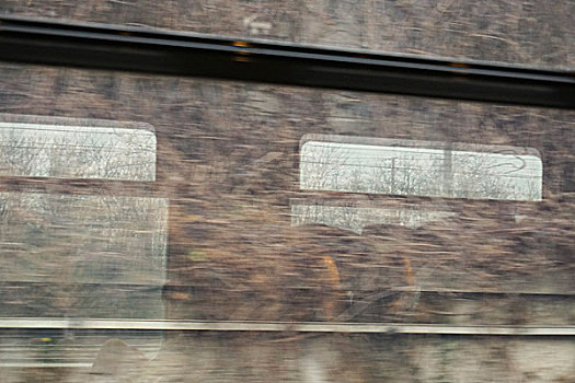 全画幅,树,反射,列车,窗户