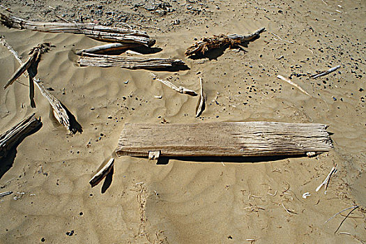 达里雅布衣乡,沙地上废弃的木板,新疆和田于田
