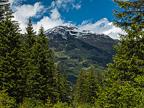 山,区域,奥地利,欧洲