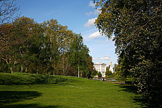 公园,白金汉宫,伦敦,英国