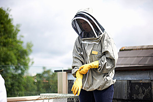 养蜂人,穿,准备,检查,蜂窝