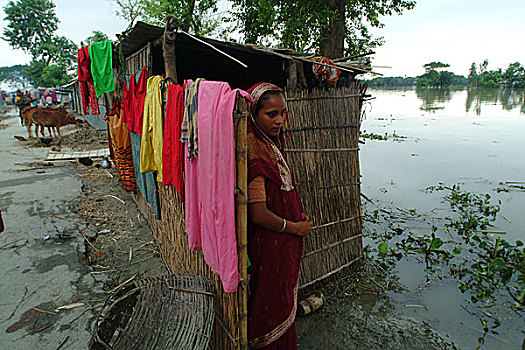 头像,乡村,女人,看,水,洪水,河,孟加拉,七月,2004年