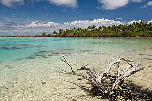 海滩,环礁,土阿莫土群岛,法属玻利尼西亚,太平洋