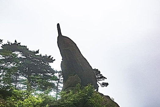 安徽省黄山市黄山风景区海豚石自然景观