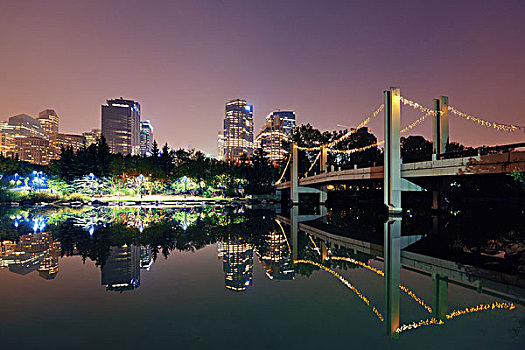 卡尔加里,岛屿,夜晚,加拿大