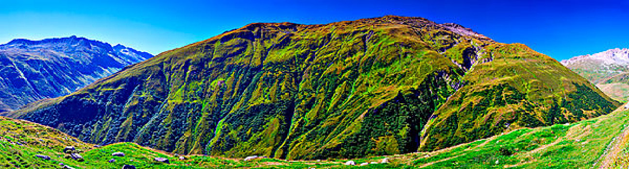 阿尔卑斯山,青山,夏天,全景