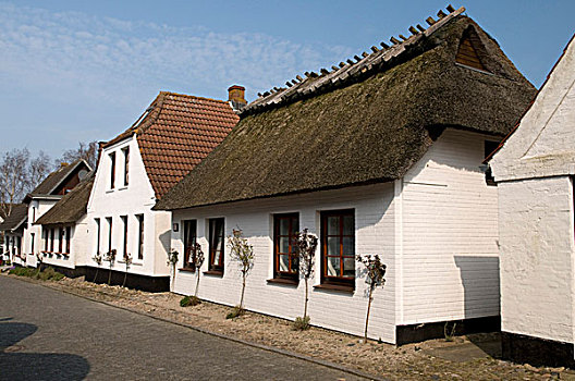 茅草屋顶,房子,石荷州,德国,欧洲
