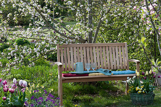 木制长椅,正面,苹果树,篮子,郁金香属,水仙