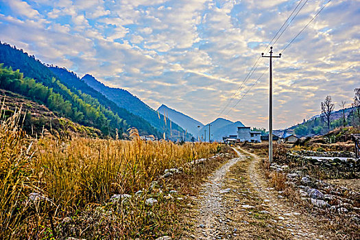 村庄,农村,房子,老屋,土墙,树,小路,道路,稻草,山,蓝天,白云,石墙,鱼鳞云,牛,草,田地,农舍