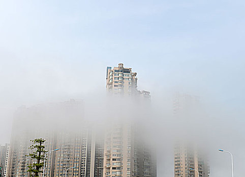 城市,雾