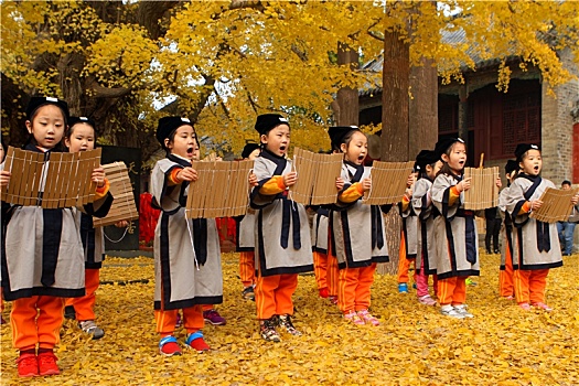 山东省日照市,4000年银杏树身披金甲,游客打太极,练瑜伽,诵读经典各得其乐