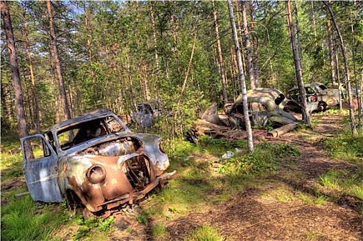 汽车,垃圾,瑞典