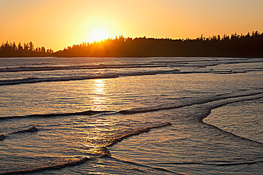 波浪,长滩,乐园,日落,环太平洋国家公园,靠近,不列颠哥伦比亚省,加拿大