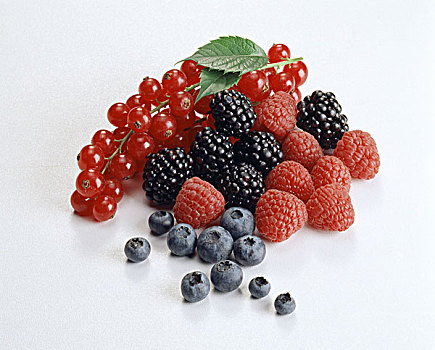 种类,蓝莓,树莓,黑莓,红醋栗