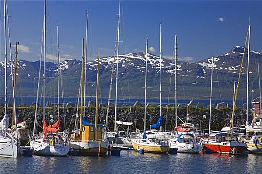 游艇,码头,特罗姆瑟,挪威