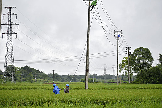 江西金溪,遭受强雷暴雨袭击,抢修线路恢复供电