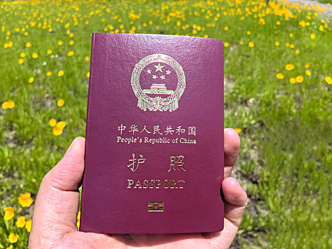 护照,旅行