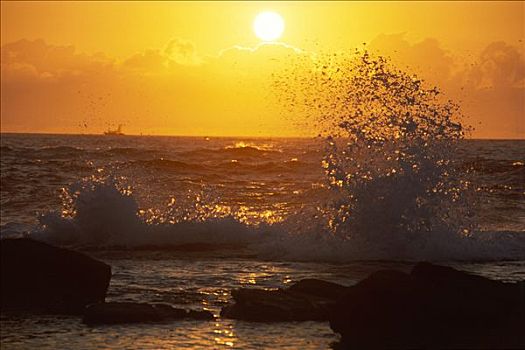 海浪,日落,国家公园,新南威尔士,澳大利亚