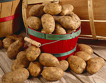 土豆,大量,满