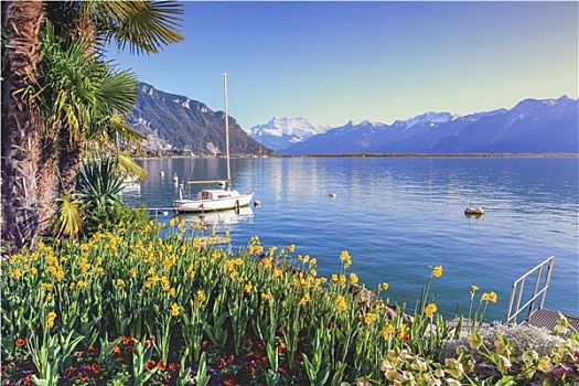 日内瓦湖,蒙特勒,沃州,瑞士