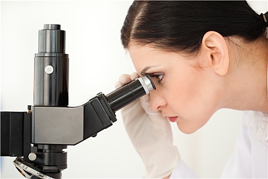 科学家,看穿,显微镜
