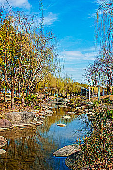 上海世博园后滩湿地公园风光