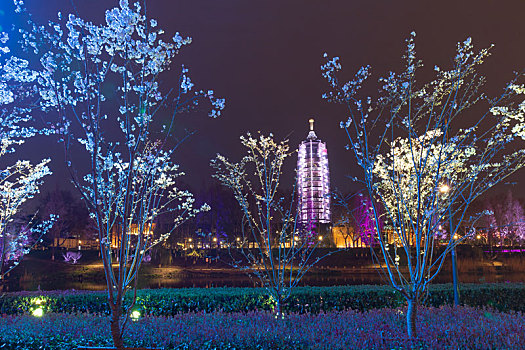 南京,秦淮,河岸,报恩寺,夜色