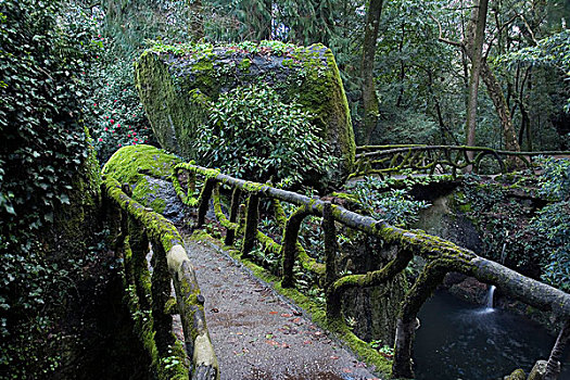 漂石,步行桥,朝拜,场所,蒙特卡罗,保护区,布拉加,北方,葡萄牙