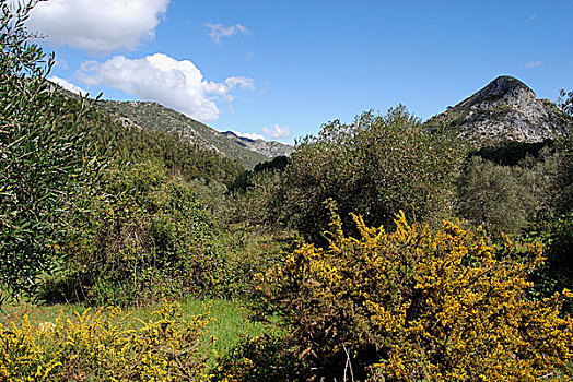 山景,靠近,马贝拉,西班牙