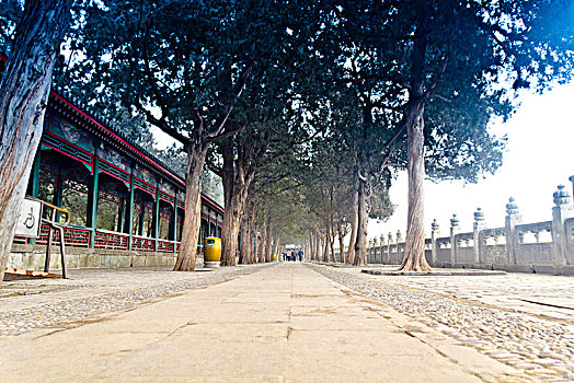 北京颐和园游园路