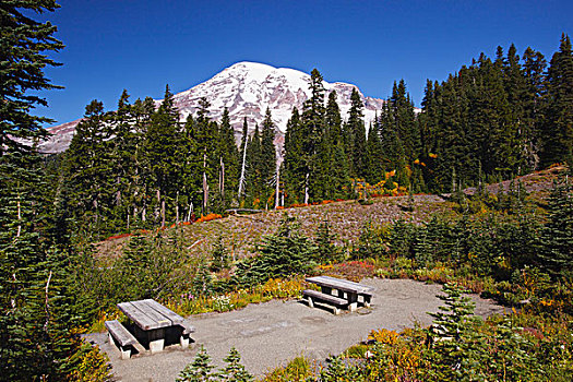 野餐桌,雷尼尔山,山,国家公园,华盛顿,美国
