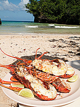 烤制食品,龙虾,海滩