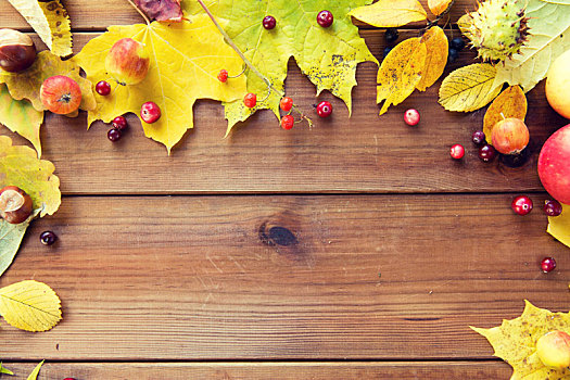 框,秋叶,水果,浆果,木头