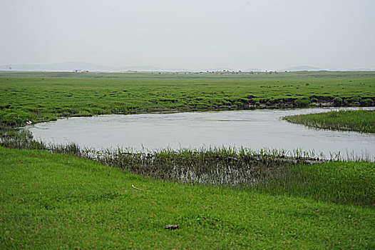 承德,坝上,草原,花海,原野,开阔,河流,植被,牧场