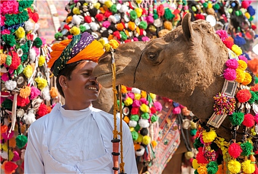 传统,骆驼,装饰,竞争,普什卡