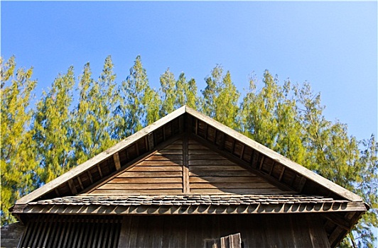 特写,南方,泰国,房子,山墙,屋顶