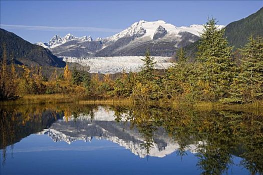 棉田豪冰河,海岸,反射,水塘,通加斯国家森林,东南阿拉斯加,秋天
